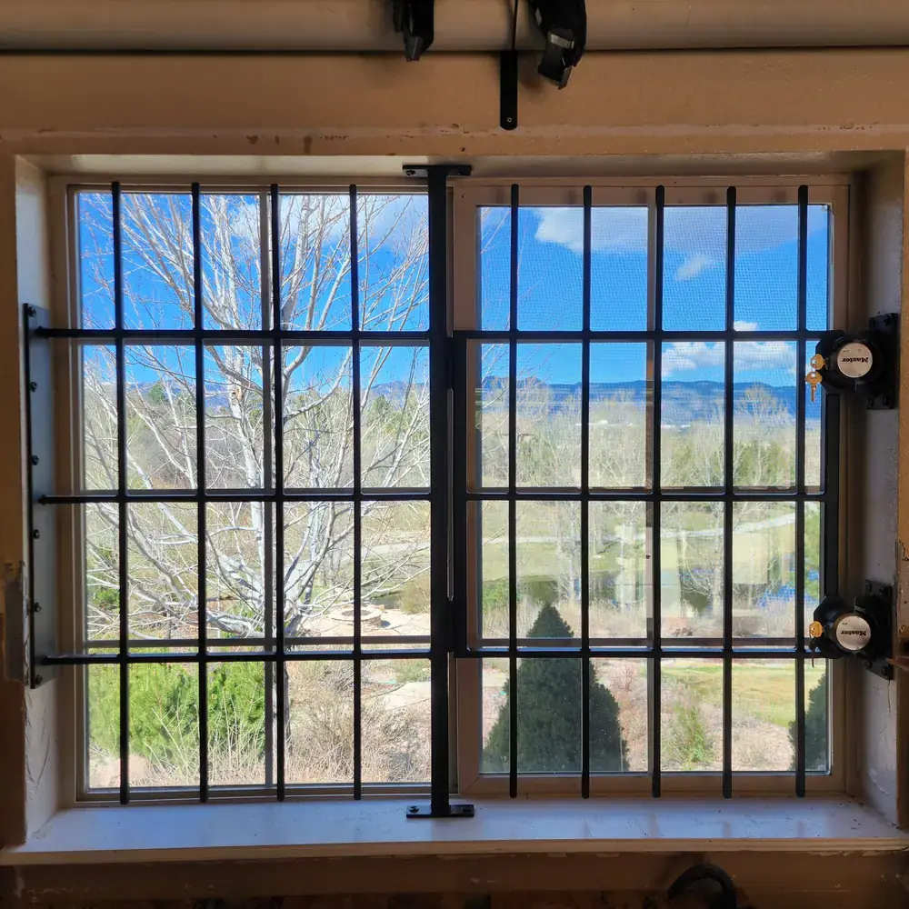 Decorative Iron Window Grille Interior